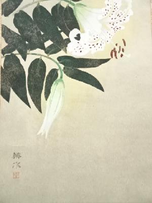 道具 ] - 道具 麻田辨自筆 百合花 太巻 肉筆紙本掛軸（共箱・二重箱